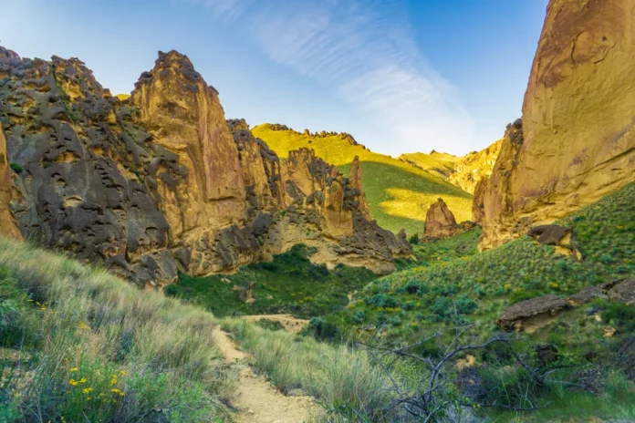 Timber Gulch